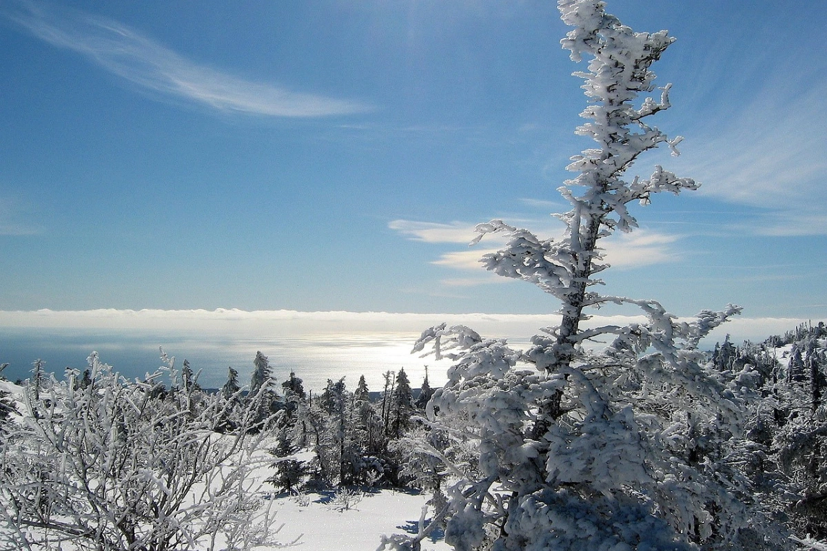 Discover Acadia National Park: Rugged Coastlines and Scenic Trails